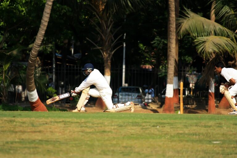 The influence of IPL on cricket-inspired art and literature