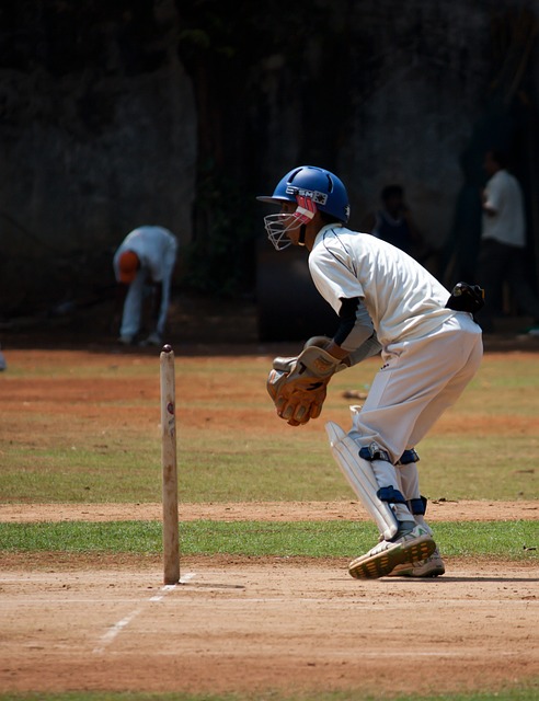 Investigating the Influence of IPL on Cricket Ground Safety Standards