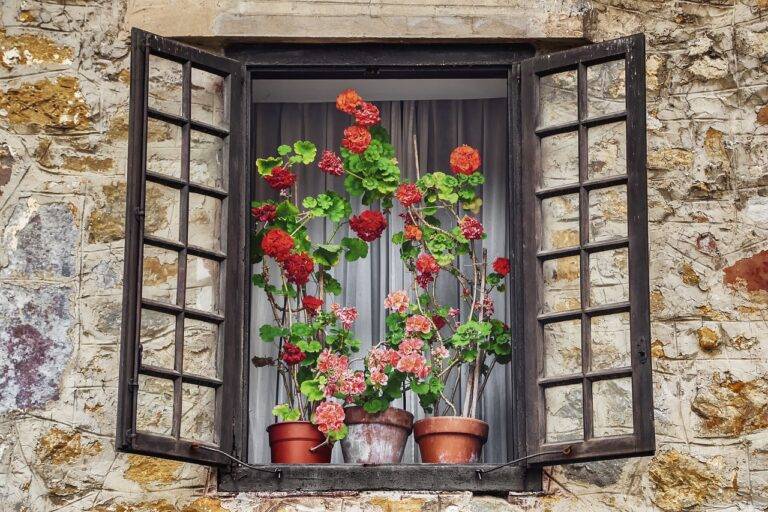 Drywall for Vertical Gardens