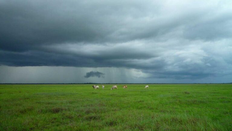 What Features Are Available In The 11Xplay Com App?